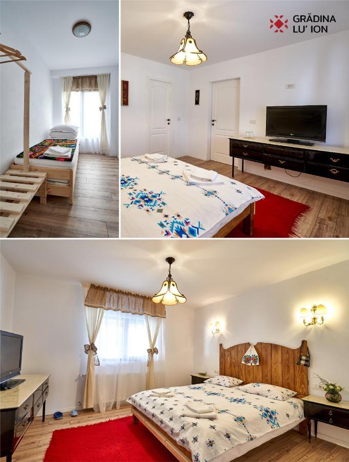 Gradina Lu' Ion "A Home Away From Home" (Adults Only) Vişeu de Sus Esterno foto