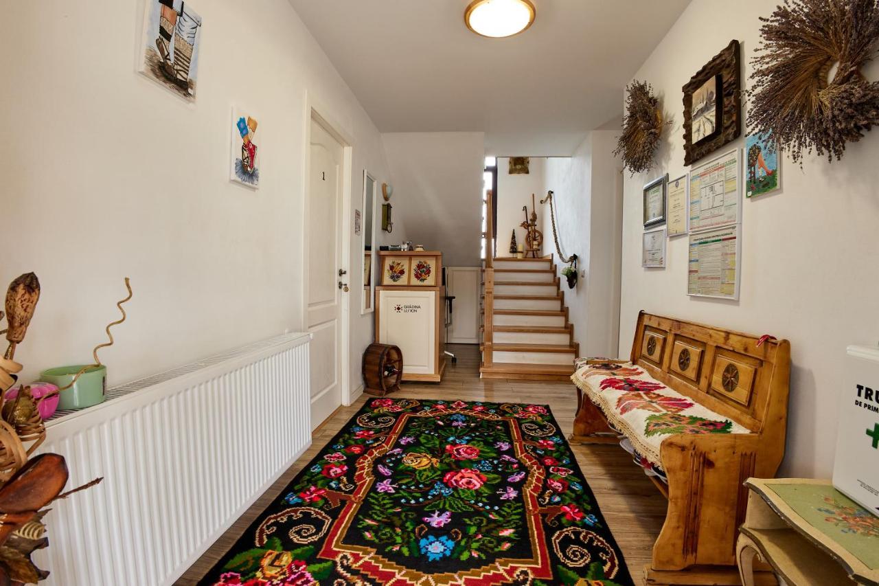 Gradina Lu' Ion "A Home Away From Home" (Adults Only) Vişeu de Sus Esterno foto