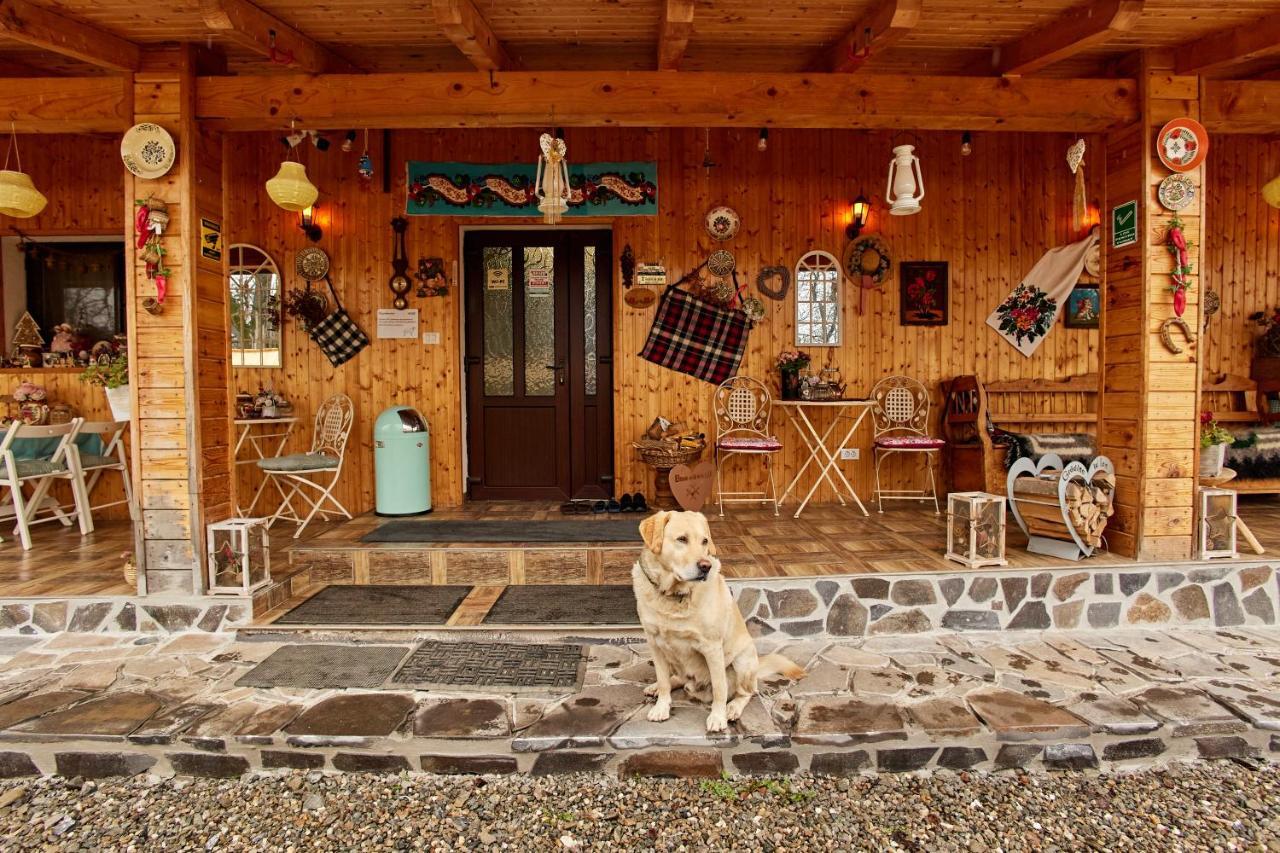 Gradina Lu' Ion "A Home Away From Home" (Adults Only) Vişeu de Sus Esterno foto