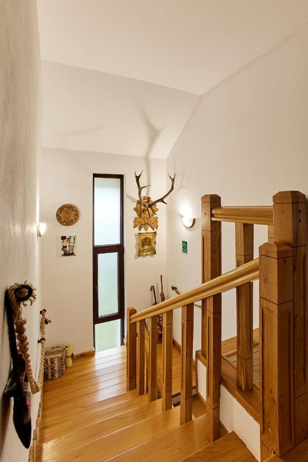 Gradina Lu' Ion "A Home Away From Home" (Adults Only) Vişeu de Sus Esterno foto