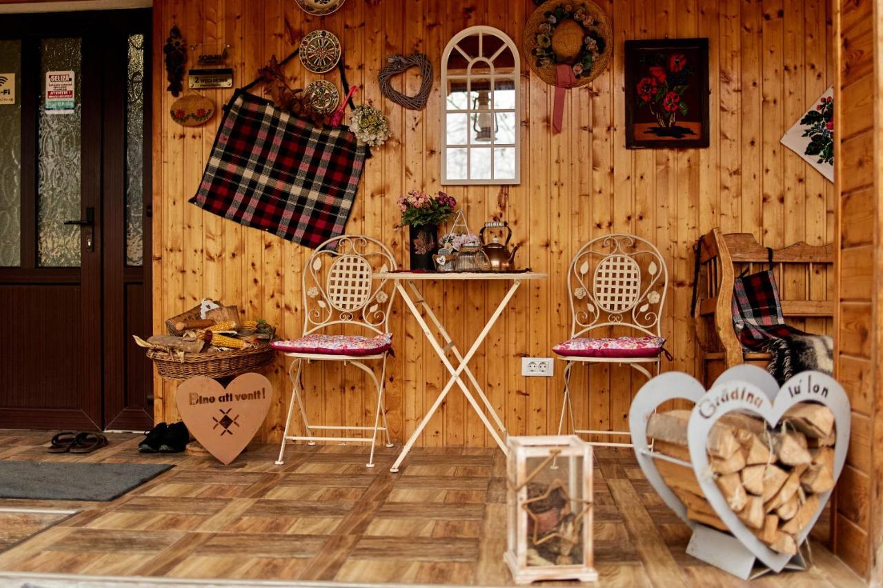 Gradina Lu' Ion "A Home Away From Home" (Adults Only) Vişeu de Sus Esterno foto