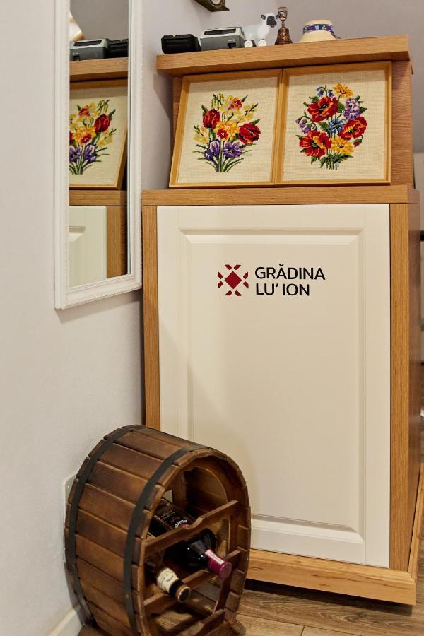 Gradina Lu' Ion "A Home Away From Home" (Adults Only) Vişeu de Sus Esterno foto