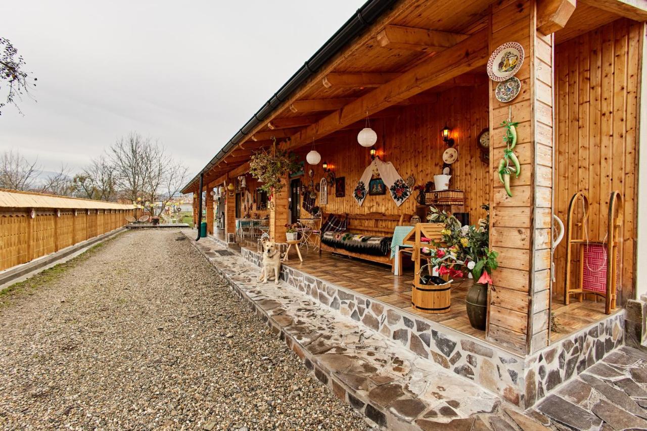 Gradina Lu' Ion "A Home Away From Home" (Adults Only) Vişeu de Sus Esterno foto