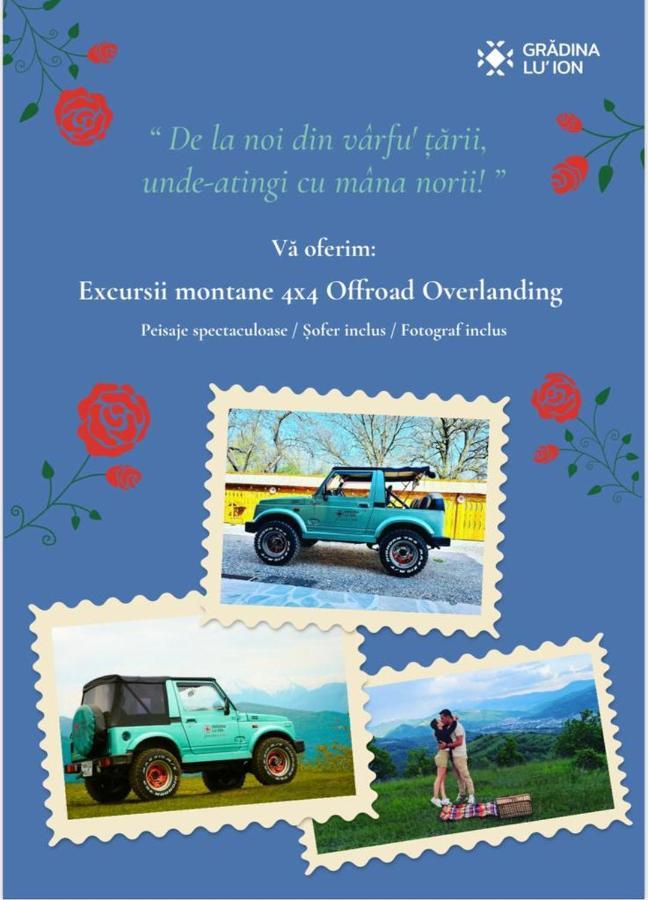 Gradina Lu' Ion "A Home Away From Home" (Adults Only) Vişeu de Sus Esterno foto
